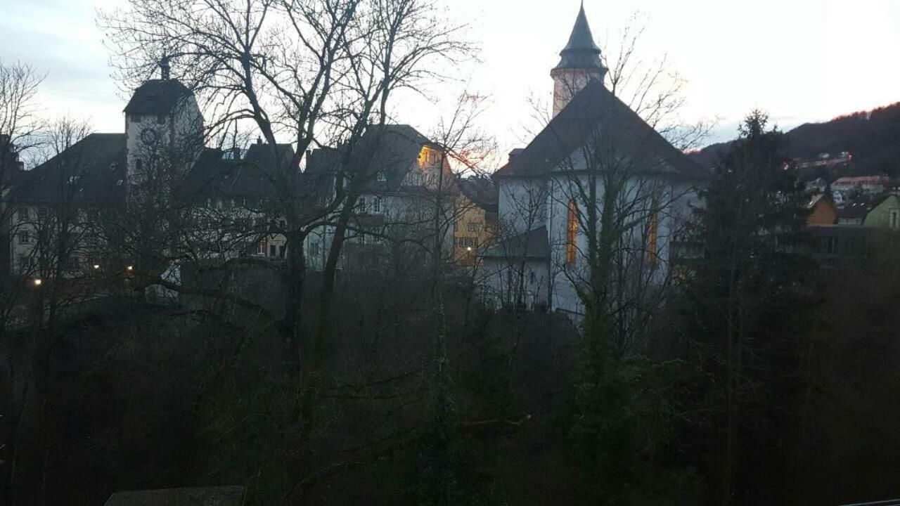 Waldshut Suite In Zentrum Ngoại thất bức ảnh